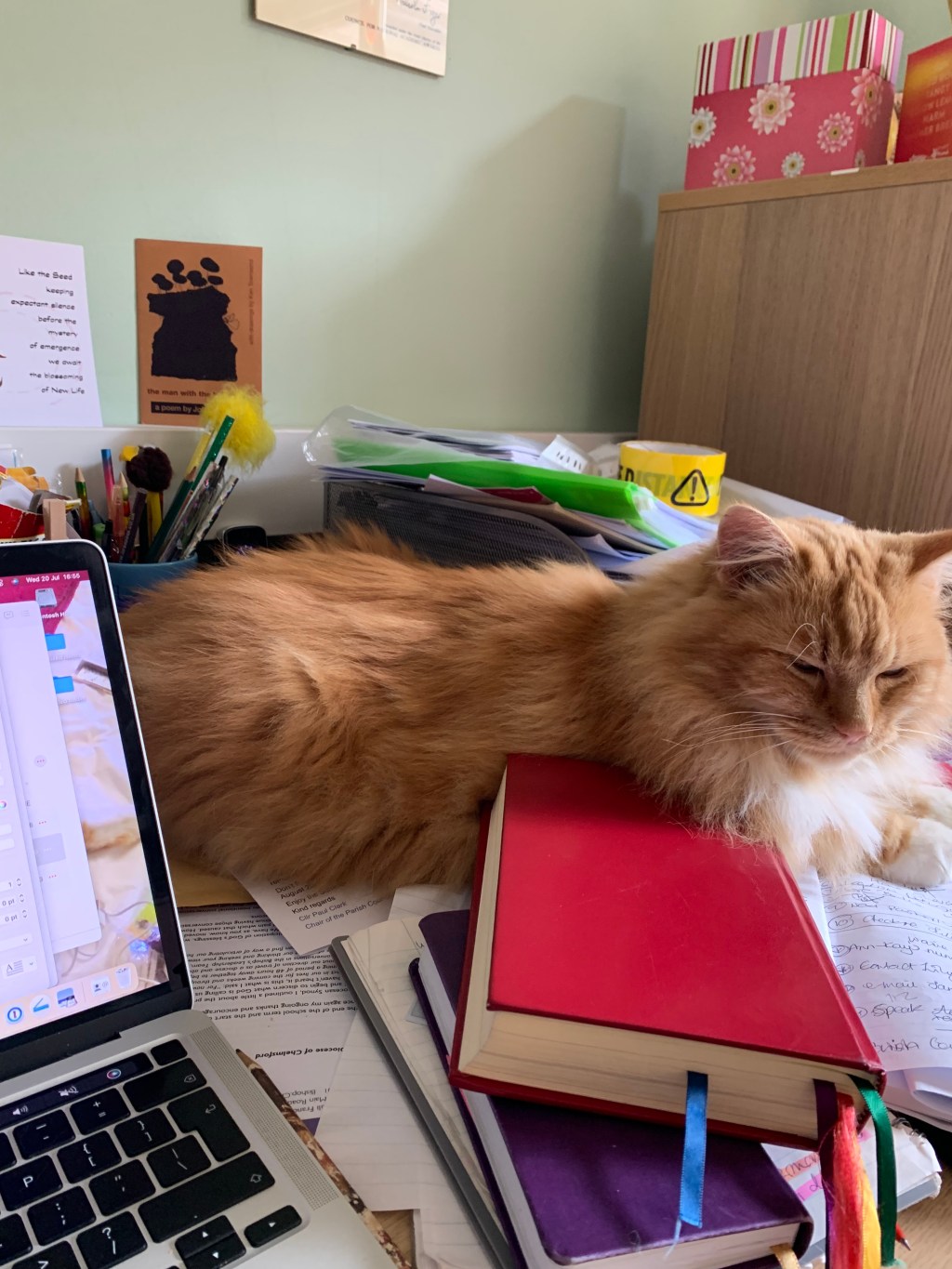 Old habits die&nbsp;hard.