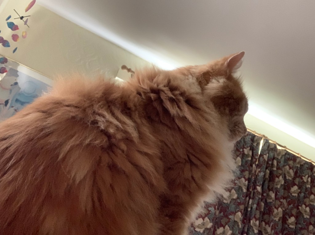 What gets you up in the&nbsp;morning?